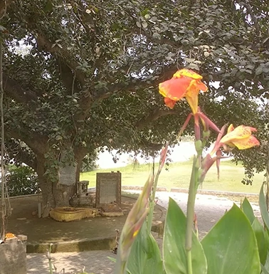 geetanand-ashram4